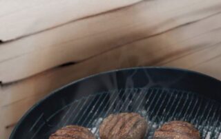 melted vinyl - Siding Pros Of Idaho