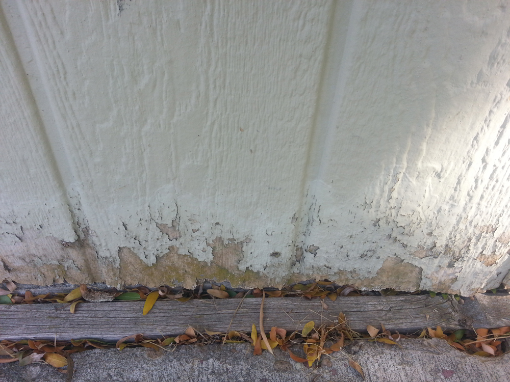 mold - Siding Pros Of Idaho